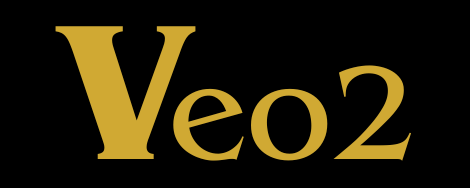 veo2 ai video logo